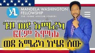 How to Win the Mandela Washington Fellowship Key Strategies and Application Tips [upl. by Aryas]