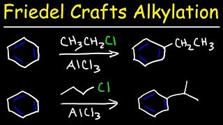 Friedel Crafts Alkylation of Benzene Reaction Mechanism  Tons of Examples [upl. by Alain]