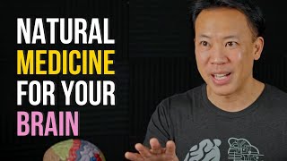 6 Natural Medicines for Brain Health  Jim Kwik [upl. by Akihsan842]