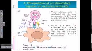 Cancer immunotherapy [upl. by Nahsez]