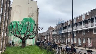 British street artist Banksy claims a tree mural on side of building in north London [upl. by Ifar]