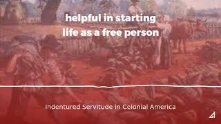 Indentured Servitude in Colonial America [upl. by Safire]