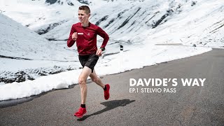 Davides Way Against the Clock  Episode 1 Stelvio Pass [upl. by Nnednarb]