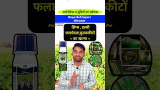 थ्रिप्स इल्ली व सभी चूसक किट का नाश  Bayer Belt Expert  insecticide shorts viral farming [upl. by Anna-Diane]