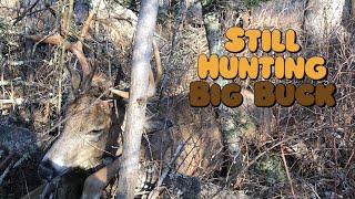 MN Deer Hunting  Big Buck At 15 Yards [upl. by Sirehc558]