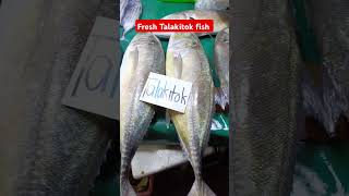 Fresh Talakitok fish shortvideo vuralshort highlights [upl. by Manly]