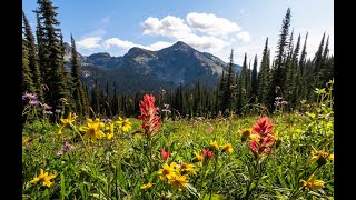 Revelstoke Wildflower Festival [upl. by Billie]