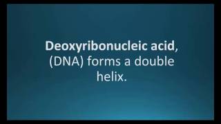 How to pronounce deoxyribonucleic acid DNA Pharmcabulary for Memorizing Pharmacology Flashcard [upl. by Gowon291]