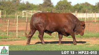 LOT 13 HP22 013 [upl. by Suisyola]