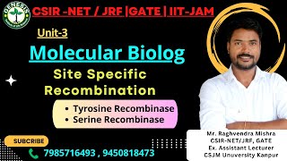 Site Specific Recombination  Tyrosine amp Serine Recombinase  L13  Molecular Biology  Unit3 [upl. by Lehsar]