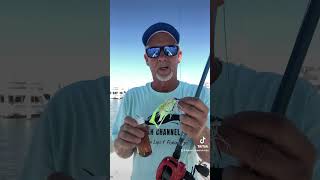 Do Fish Attractant Scents Workfishing redfish flounder [upl. by Franz]