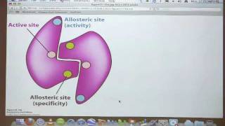 Kevin Aherns BiteSized Biochemistry 40  Nucleotide Metabolism II [upl. by Tankoos353]