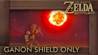 Zelda Breath of the Wild  How to Kill Ganon Shield Only No Damage [upl. by Aciretal730]