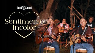 Daniel amp Samuel  Sentimento Incolor Clipe Oficial [upl. by Aubarta]