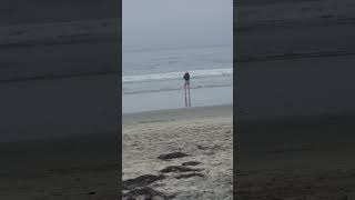 Knitting at the Beach in beautiful Southern California Check out my utube podcastknittinginpublic [upl. by Campney]