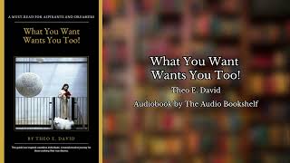 Free Audiobooks  What You Want Wants You Too  Theo E David [upl. by Jaal]