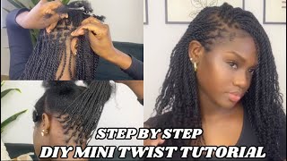 Mini Twist Tutorial With Extenstions  STEP BY STEP INSTALLATION FOR BEGINNERS Ft Ywigs Hair [upl. by Fortna262]