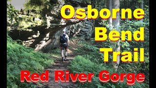 OSBORNE BEND Trail  Solo Hiking  Red River Gorge KY Daniel Boone National Forest 2020 [upl. by Oigimer]