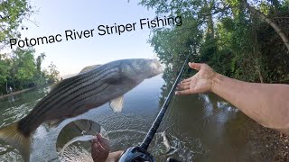 Potomac River Striper Fishing  Jighead amp Fluke For Striped Bass [upl. by Dirgis]