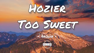 Hozier  Too Sweet مترجمة [upl. by Ailem341]