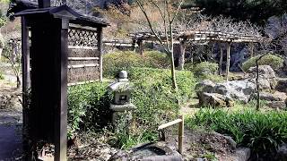 秋保 木の家と天守閣自然公園 akiu wood house and Tenshukaku Natural Park [upl. by Nwadahs]