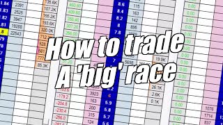 Peter Webb  Betfair trading  Trading a big race at Cheltenham [upl. by Fini]