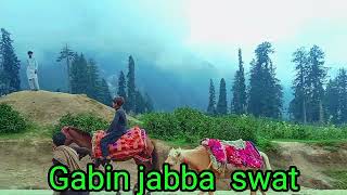 gabin jabba swat da group toll masaran day Majid gurkhan 7 8 2024 date 🌹 [upl. by Assyla]