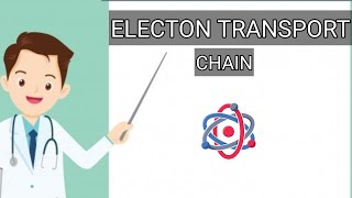 Electron transport chain or ETC Biochemistry  Tamil made easy [upl. by Girhiny]