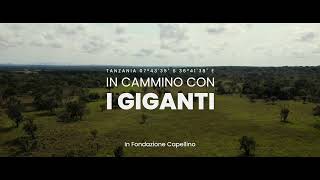 Habitat amp Corridors in cammino con i giganti [upl. by Funk]