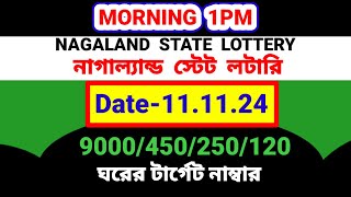 1111 2024 9000450 টাকা ঘরের middle part number target today। Nagaland state lottery Sambad [upl. by Weir]