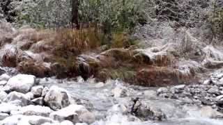 DCI TV  Neige à 1100m  HautesAlpes Forêt du Sapet [upl. by Naujed]