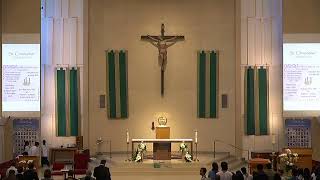 St Christopher Catholic Church  31th Sunday November 3 2024 Vietnamese Mass Livestream [upl. by Lebatsirc]