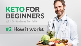 A keto diet for beginners part 2 how it works [upl. by Tham]