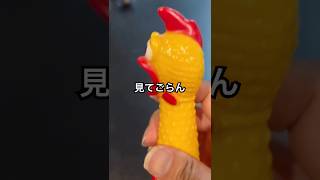 これが本当のびっくりチキン shorts おもしろ動画 funnyvideo [upl. by Feilak]