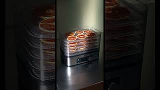 WMF KITCHENminis Dehydrator Snack to Go [upl. by Norrej]