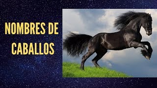 Nombres de Caballos Famosos En Español [upl. by Airdnoed391]