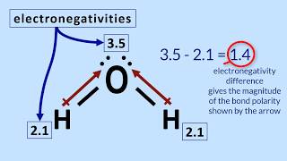 Polar Molecules Tutorial How to determine polarity in a molecule [upl. by Lorain875]