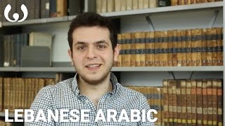 WIKITONGUES Anis Speaking Lebanese Arabic [upl. by Nigrom761]