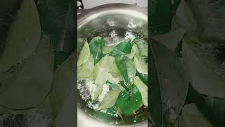 Curry leaves health benefits🤗👏👏in tamilshortvideoshortsfeed shortshealthbenefits ytshorts [upl. by Kotick]