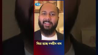 বিডা হচ্ছে নখহীন বাঘshortvideo fbviral tiger [upl. by Flita]