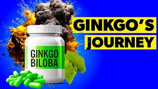 What Are the Benefits of Ginkgo Biloba Supplements [upl. by Oiliruam]