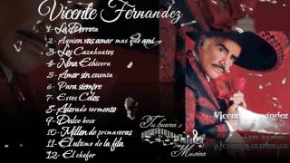 Vicente Fernandez Album para siempre [upl. by Obmar564]