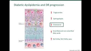 The role of SIRT1LXR signaling in diabetic retinopathy [upl. by Yvel596]