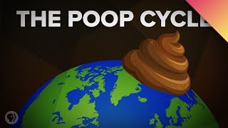 How Poop Shapes the World [upl. by Anayi]