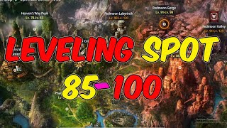 Leveling Spot 85 to 100  Mir4 [upl. by Latoniah]