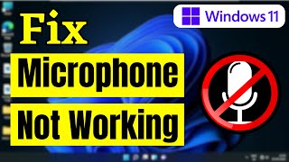 How To Fix Microphone Not Working In Windows 11 [upl. by Atoked]