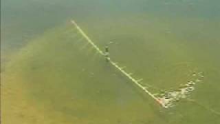 wwwWeedersDigestcom Beachgroomer lake weed removal muck [upl. by Vevay]