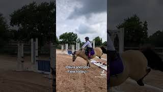 Cute animal video Pony jumping [upl. by Allehc]