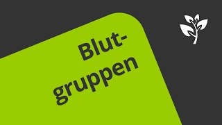 Wie werden die Blutgruppen AB0 und der Rhesusfaktor vererbt  Biologie  Genetik [upl. by Ramberg348]