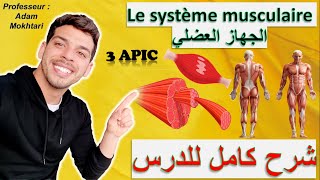 Le système musculaire 3AC  الجهاز العضلي [upl. by Eirroc2]